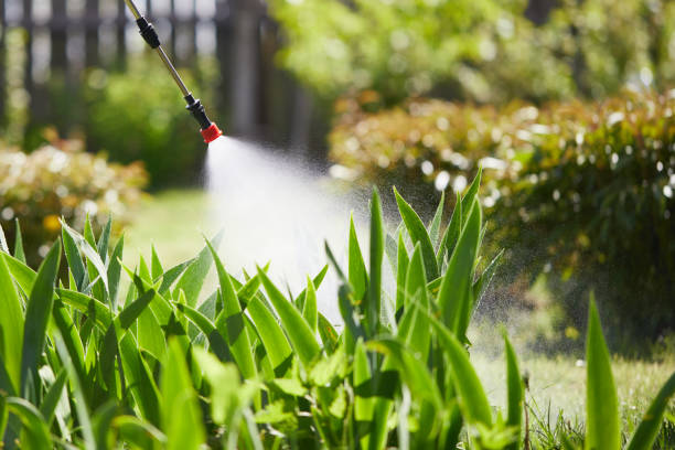 24/7 Emergency Mosquito Control experts in Ellettsville, IN